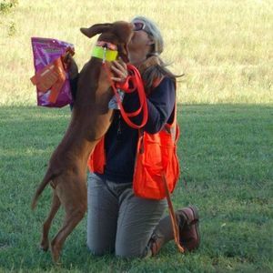 Meet your Posher, Scarlett